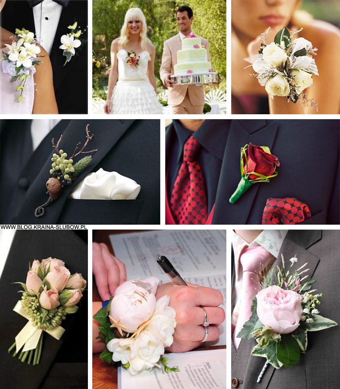 blog.kraina-slubow.pl