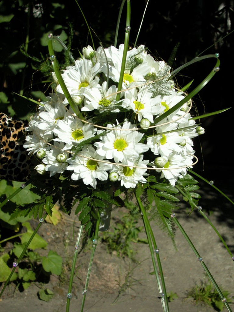 kwiaciarnia biała podlaska