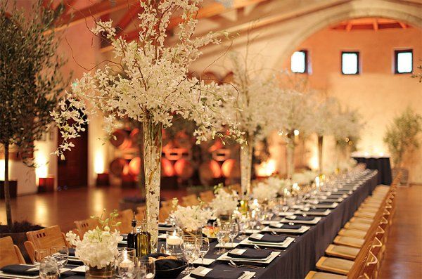 54b62aab9597d96ebea28b9d6e6276ea