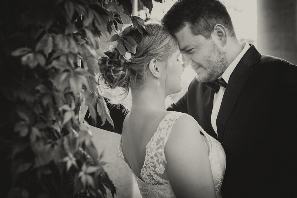 dragonfly-film-i-fotografia_biala-podlaska_0013