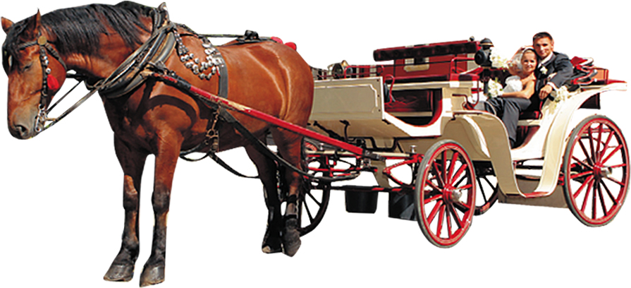 przewodnikmp.pl pojazd do ślubu dorożka