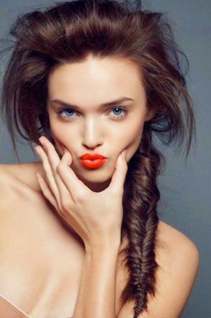 Plait Hairstyles Pictures-4