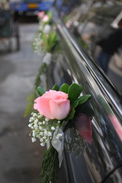 rozowa-roza-przy-samochodzie