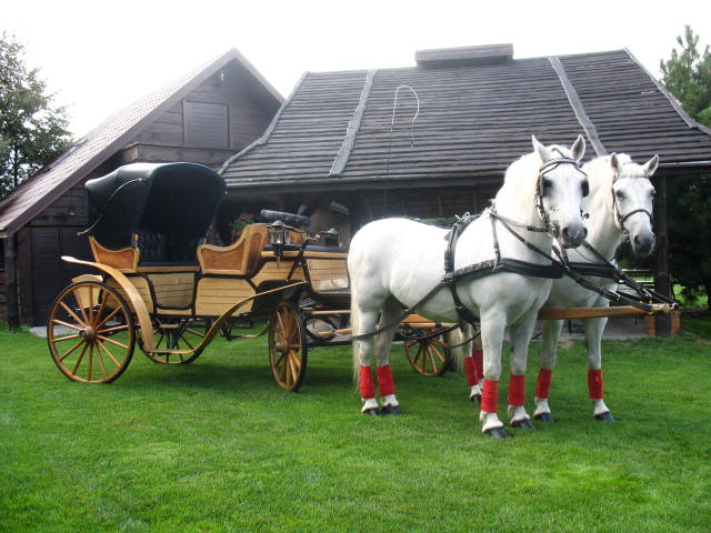 sala weselna mustang
